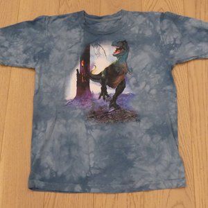 The Mountain Vintage 1990s Dinosaur T-Rex Blue Kids Large T-Shirt